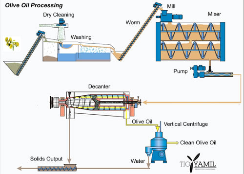 Olive Oil Processing